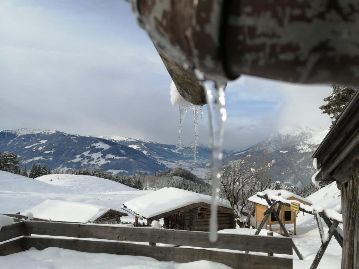 Bergblick Apartment Saalfelden Bagian luar foto